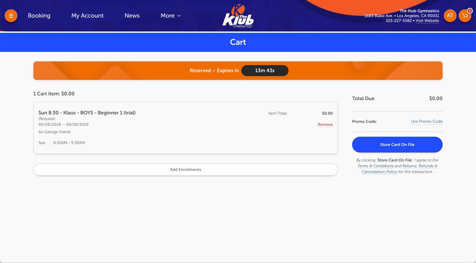 The cart with the Store Card On File button